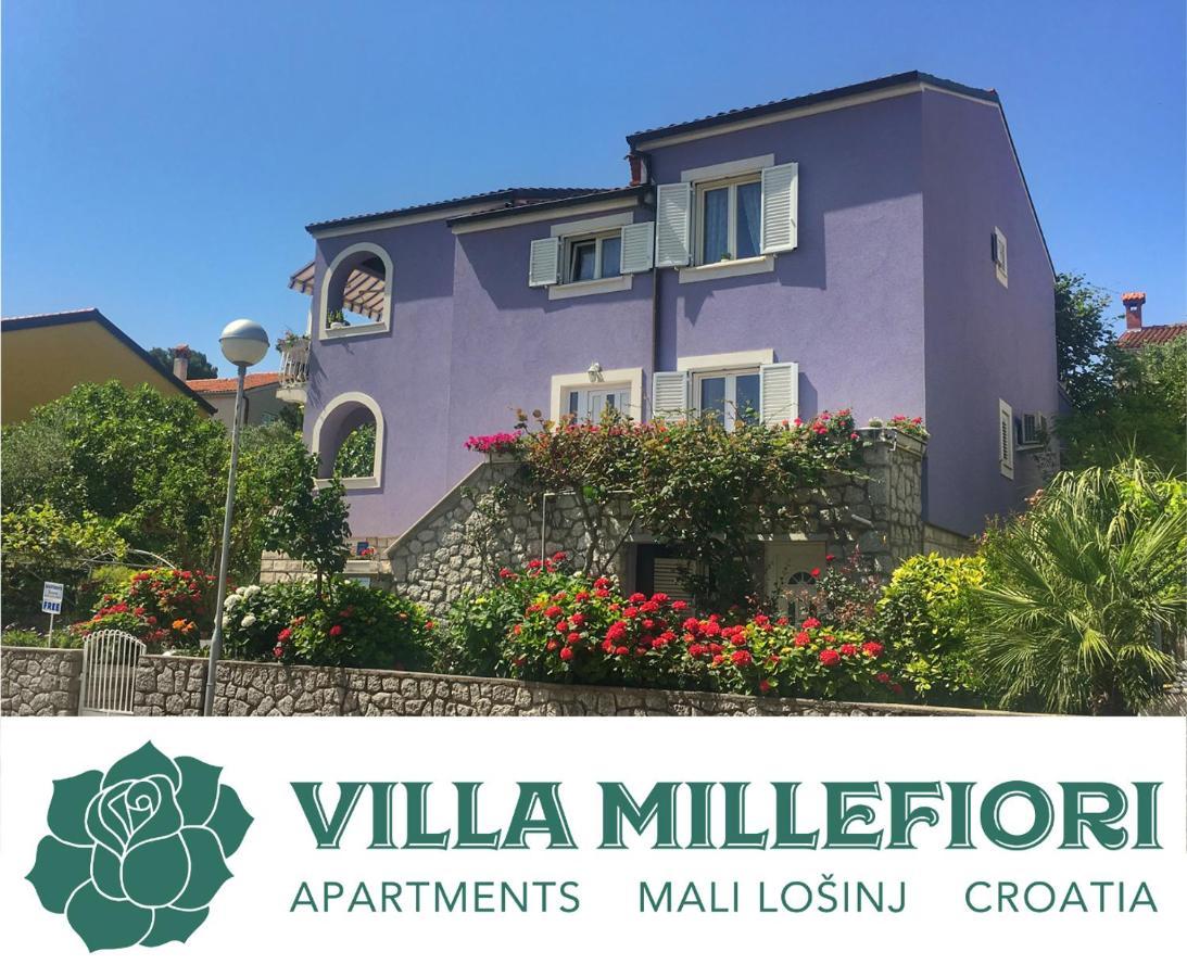Villa Millefiori - Apartments 木洛希尼 外观 照片